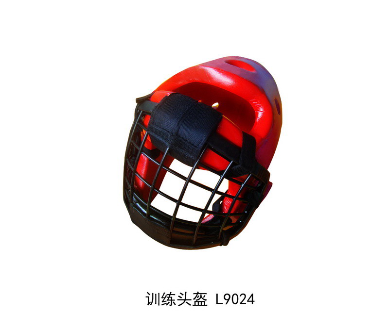 L9024 Training Helm