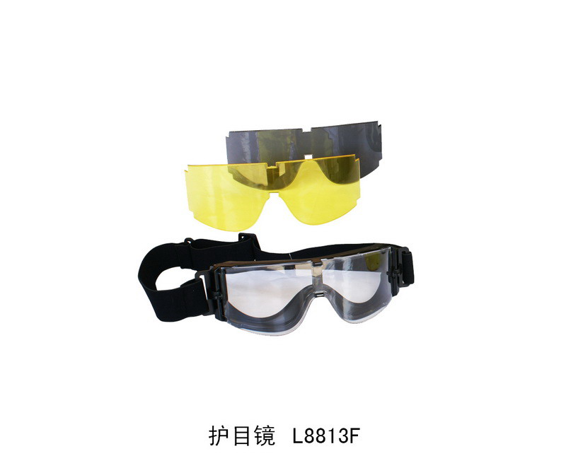 L8813F goggles